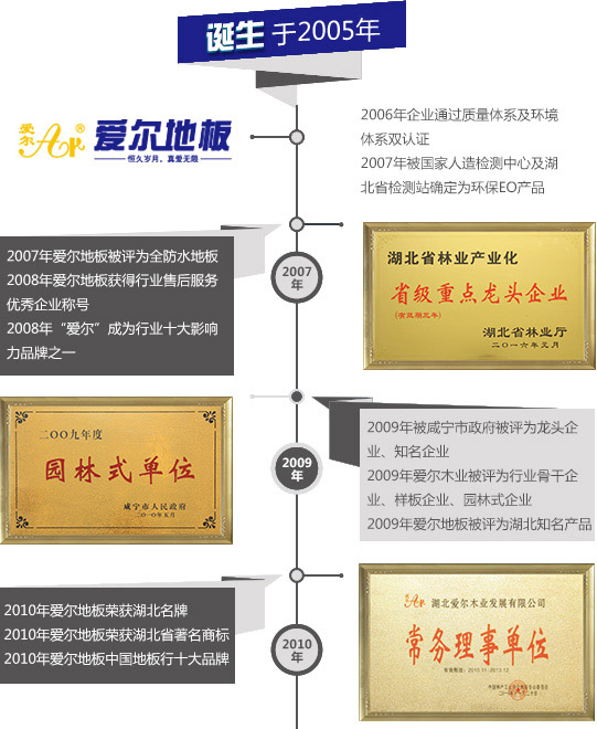 中國環(huán)保地板